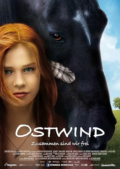  فیلم Windstorm 2013