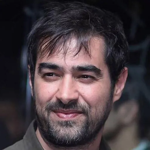 شهاب حسینی