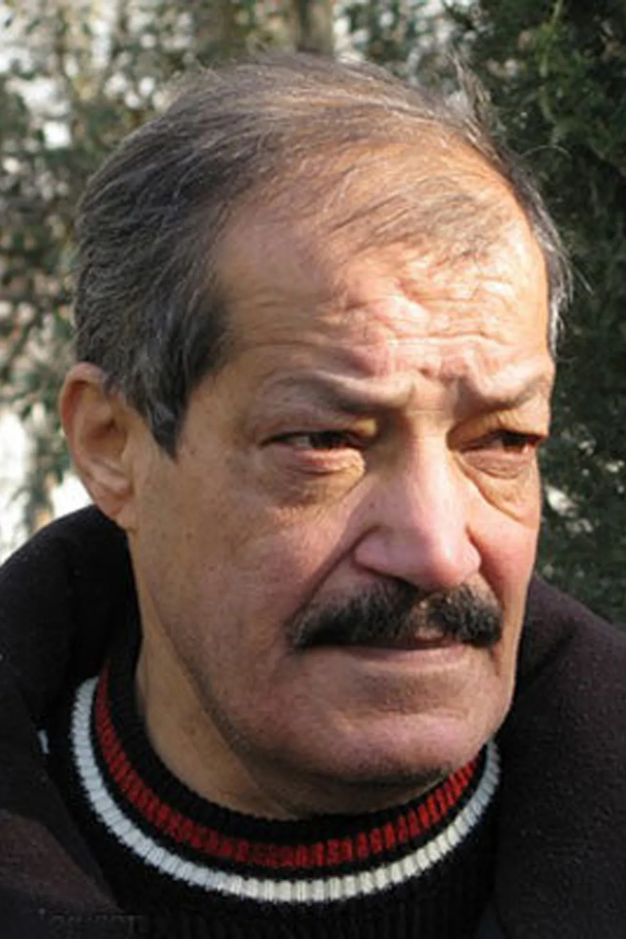 حسین شهاب
