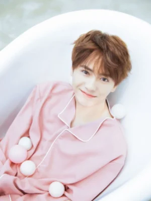 Yang Chao Wen